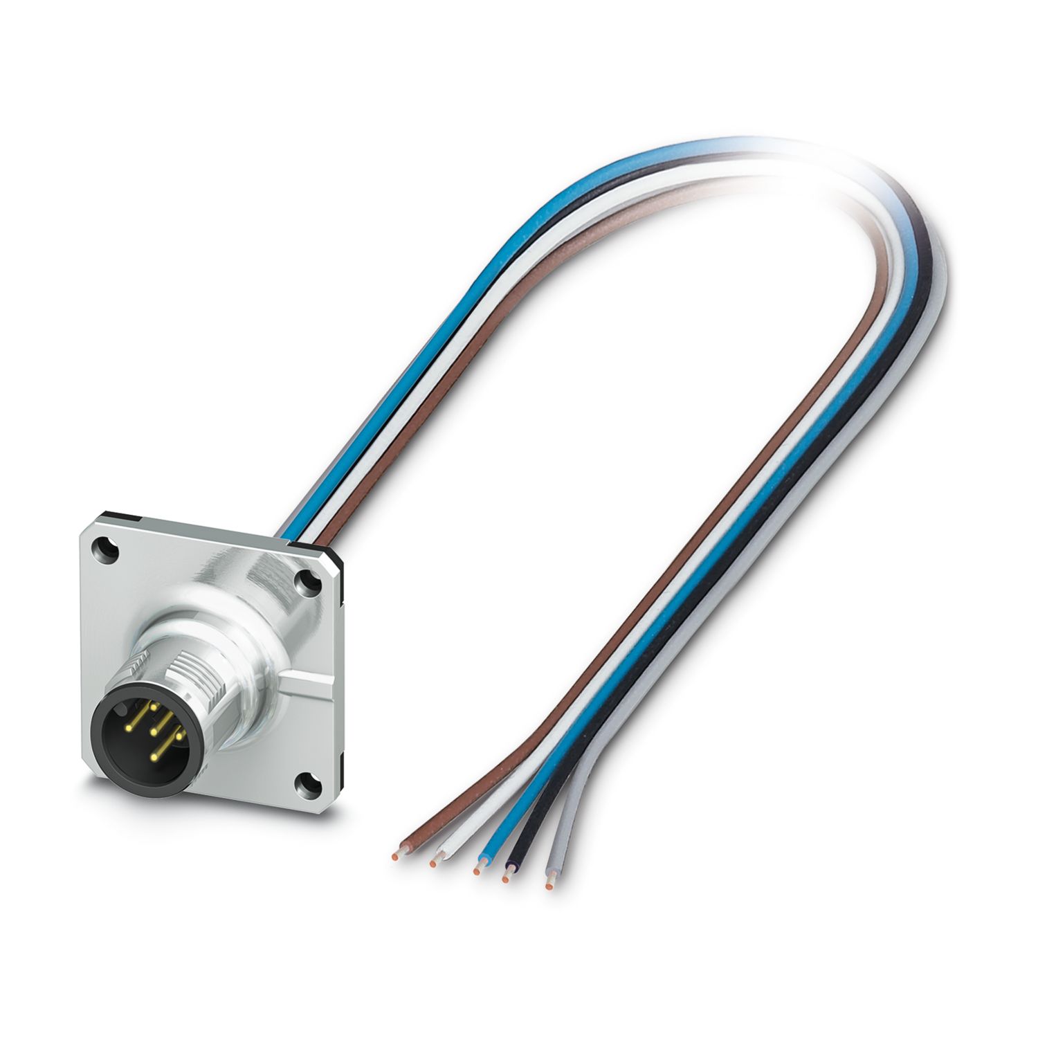 SACC-SQ-M12MS-5CON-25F/0,5