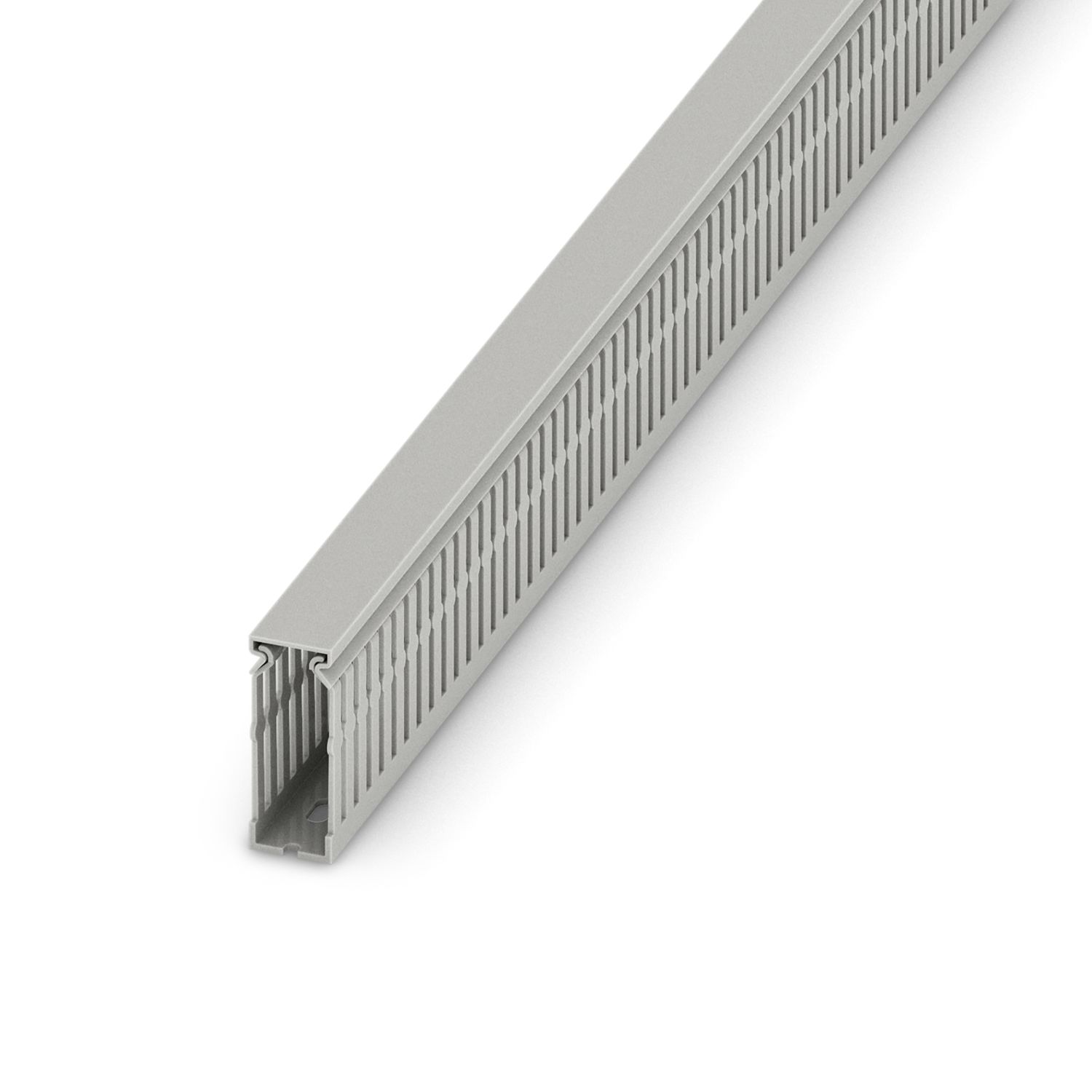 CD 25X60