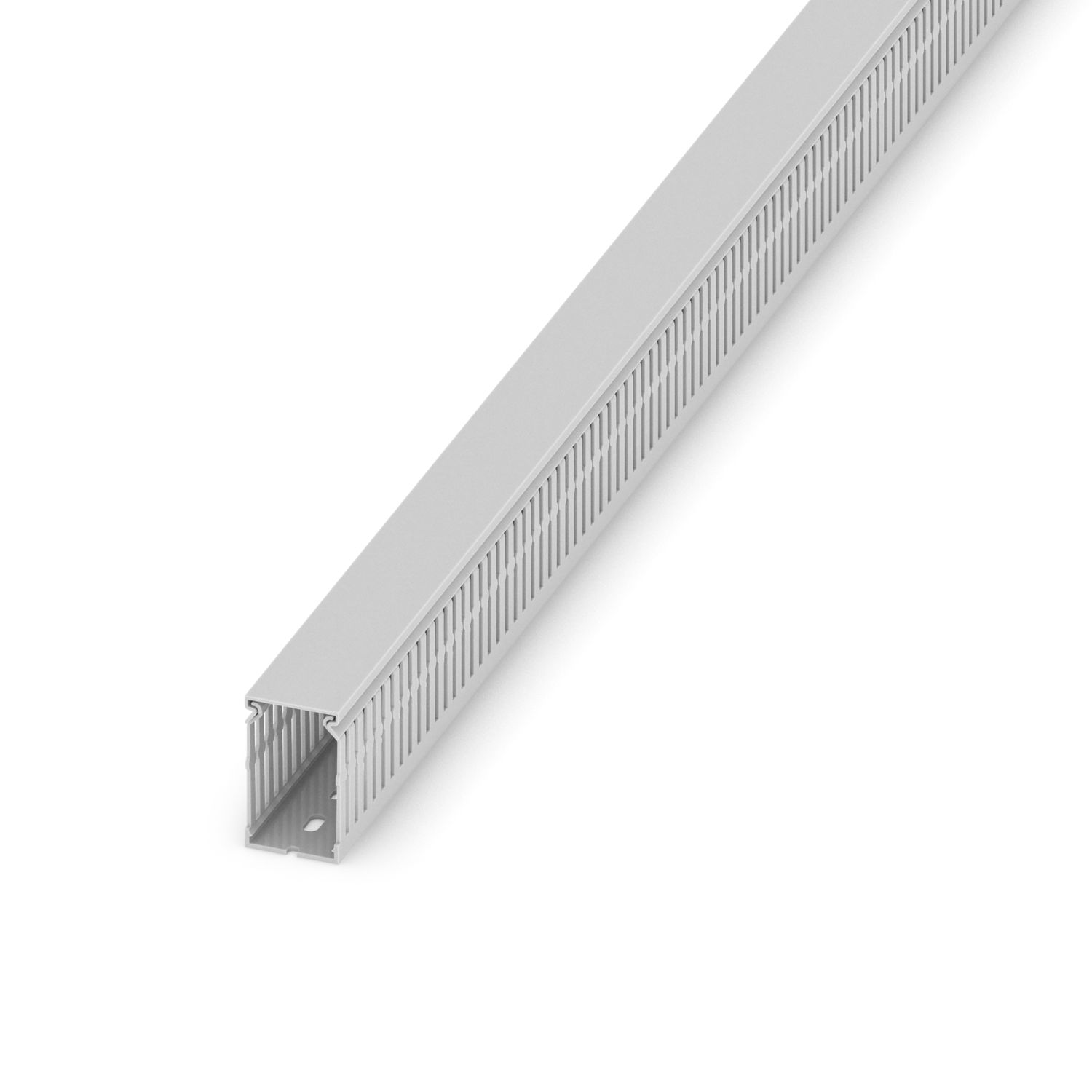 CD 40X60