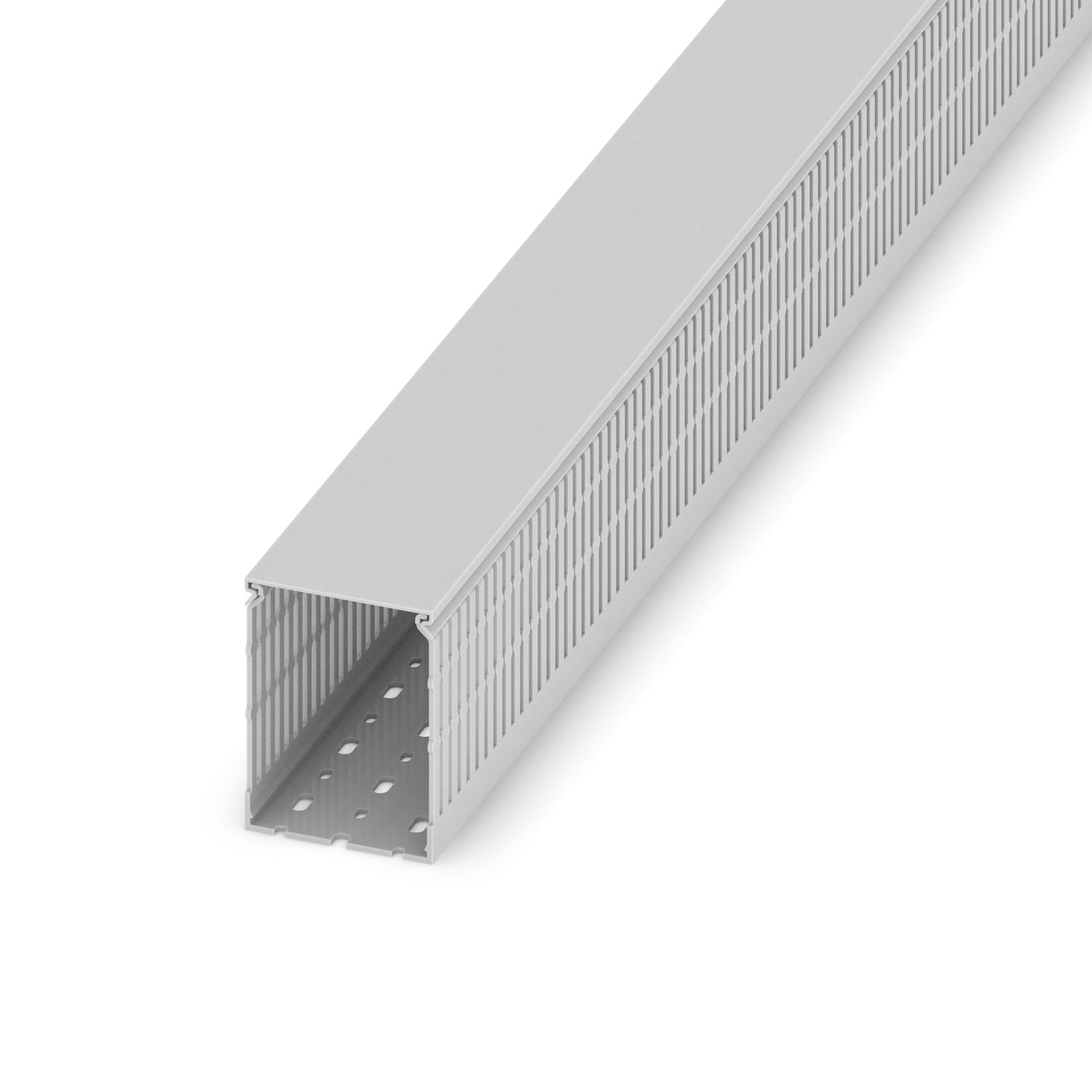 CD 60X100