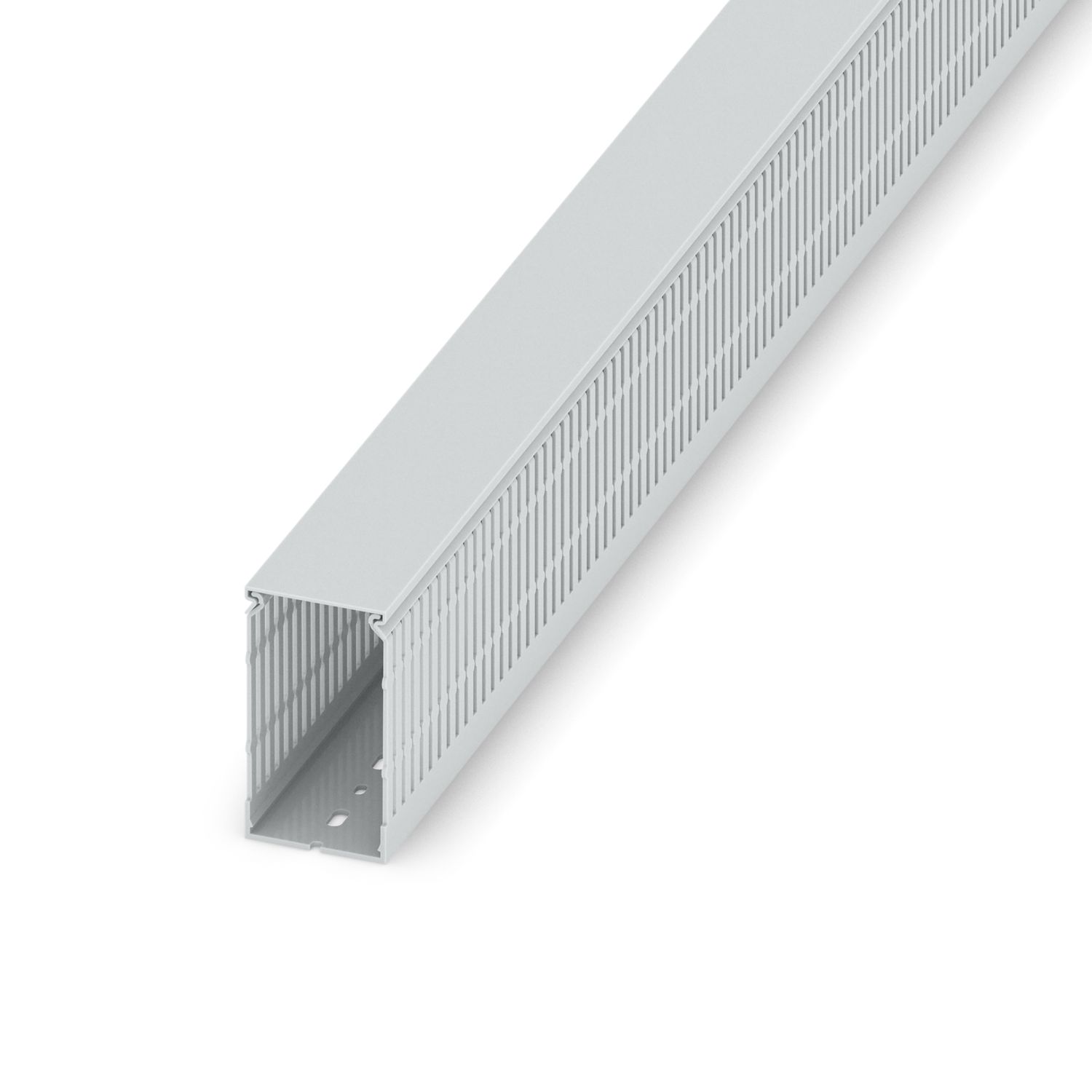 CD-HF 60X100